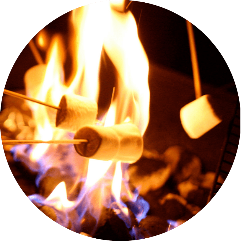 Three marshmallows on skewers are being roasted over a campfire, with bright orange flames and glowing embers visible in the background.